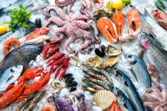Fishes
