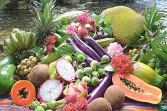 Fruits