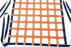 Net1