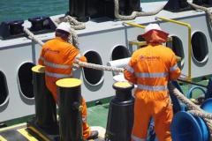 Sludge-Garbages-Disposal1